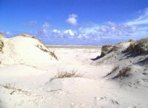 Blick auf die Dünen und den Strand von Borkum