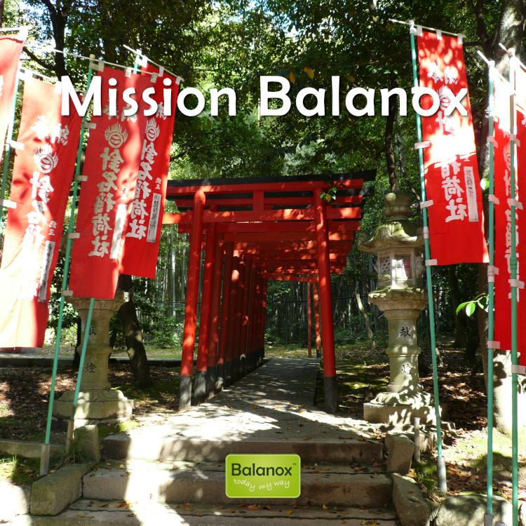 die Mission Balanox™