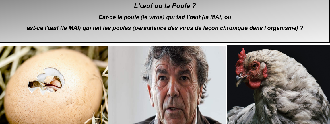 Place des maladies auto-immunes dans l'épidémie Covid-19, C'est l'oeuf qui fait la poule ou c'est la poule qui fait l'oeuf ?