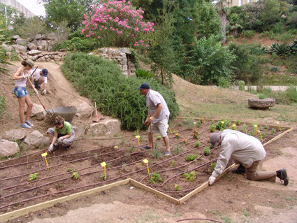 1 º Camp de treball. Creació de zona etnobotànica. (Juliol 2010)