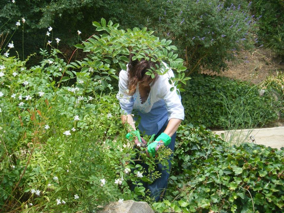 2n Camp de treball: Creació d'un Jardí sensorial experimental