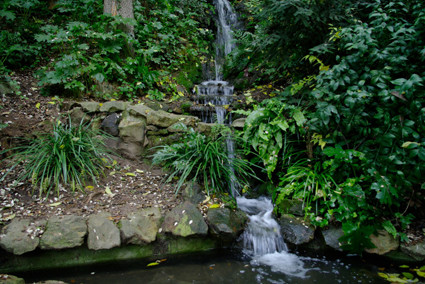 Actividades en el Jardín Botánico Histórico - Amics del Jardí ...