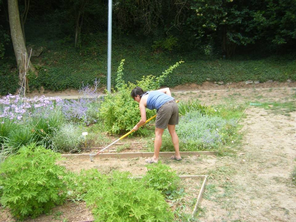 2n Camp de treball: Creació d'un Jardí sensorial experimental