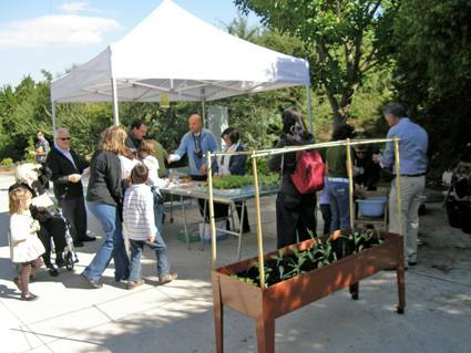 Planta't al Jardí Botànic (2010).