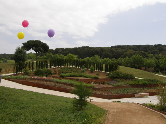 Planta't al Jardí Botànic (2011).