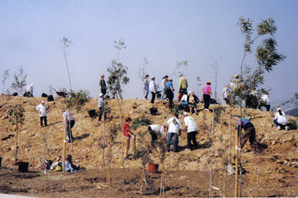 ¡Movilización! La gran plantada de eucaliptos (1999).