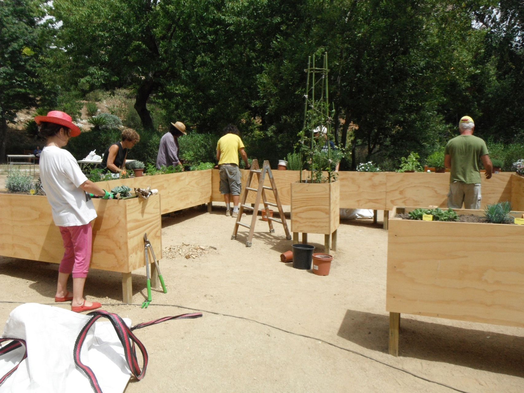 2n Camp de treball: Creació d'un Jardí sensorial experimental