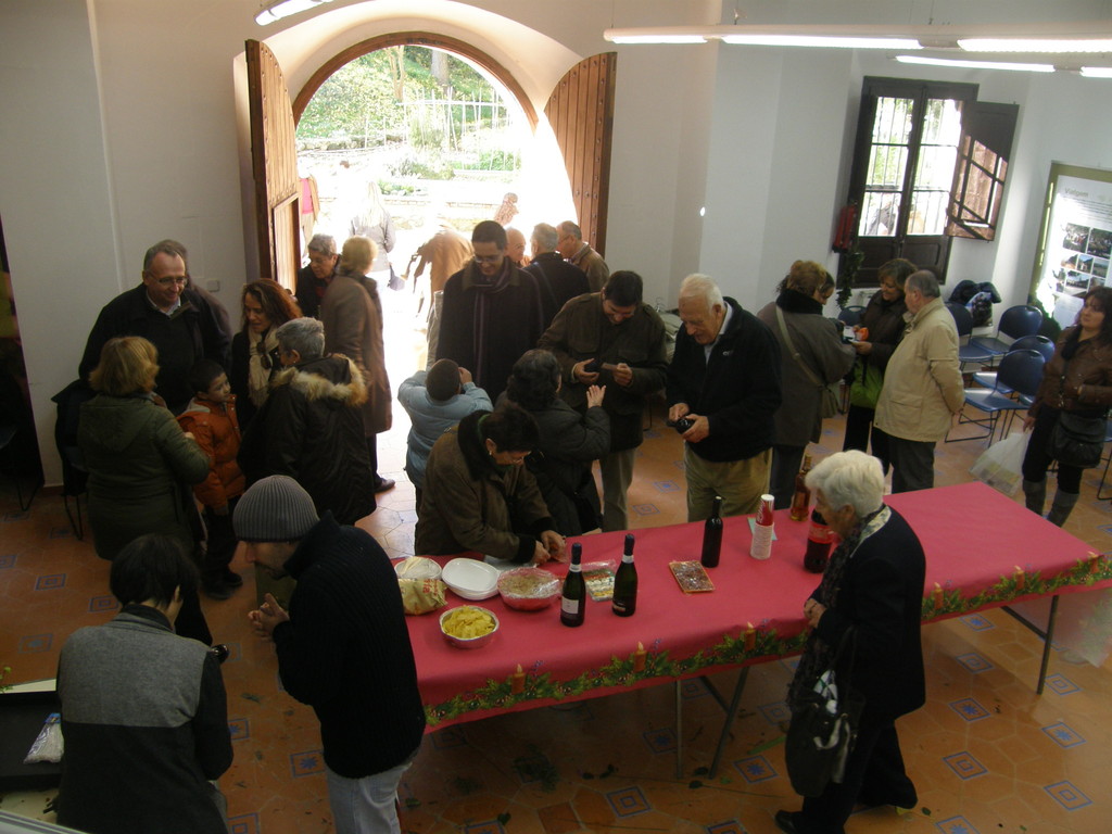 Festa de Nadal (2011).