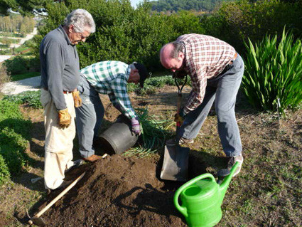 Plantació i cura de les plantes del Jardí.