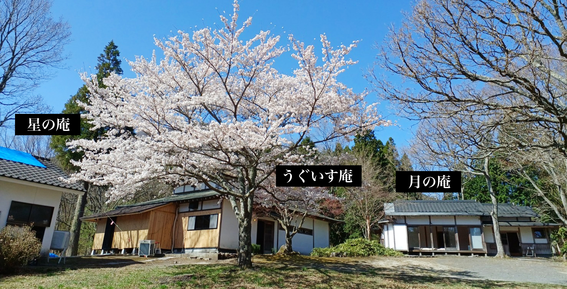 住   山口怜子公式サイト 家族を綴る日本キルト・地熱たべもの研究