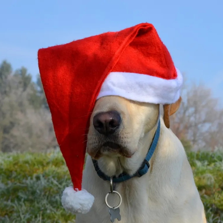 Einladung zur Weihnachtsfeier 2025