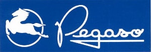 Logo_Pegaso
