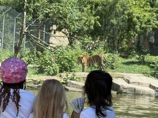 Die Kinder sehen in der Ferne einen Leoparden