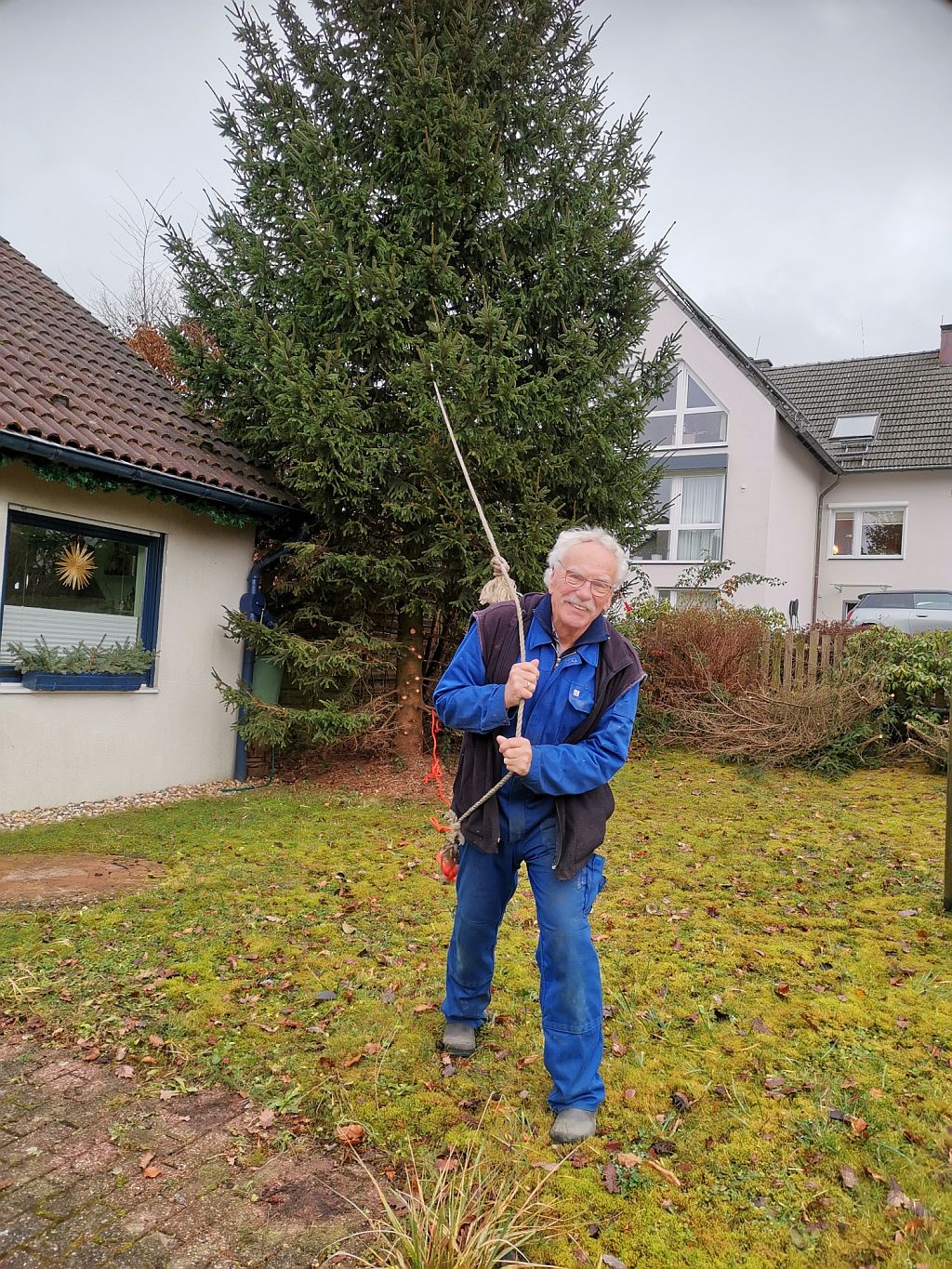 Weihnachtsbaumbeschaffung 2025