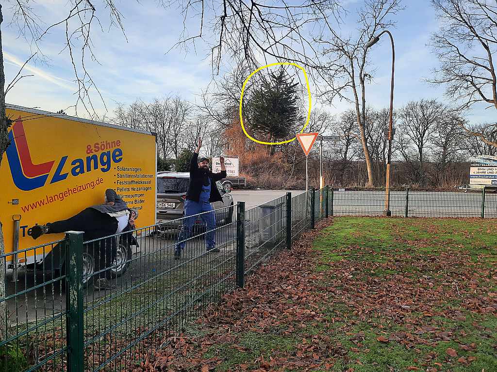 Größerer Baum im Hänger transportiert. Hier fliegt er auf die Kirchwiese.