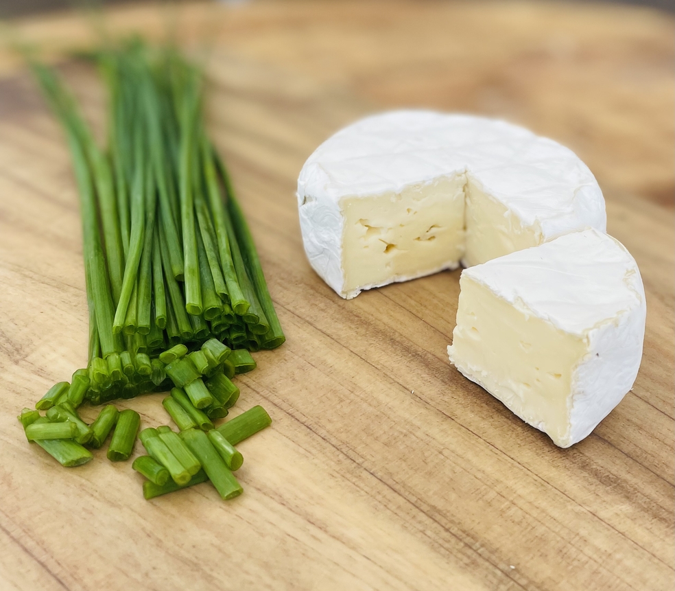 Kam'n Bär (Typ: Camembert)