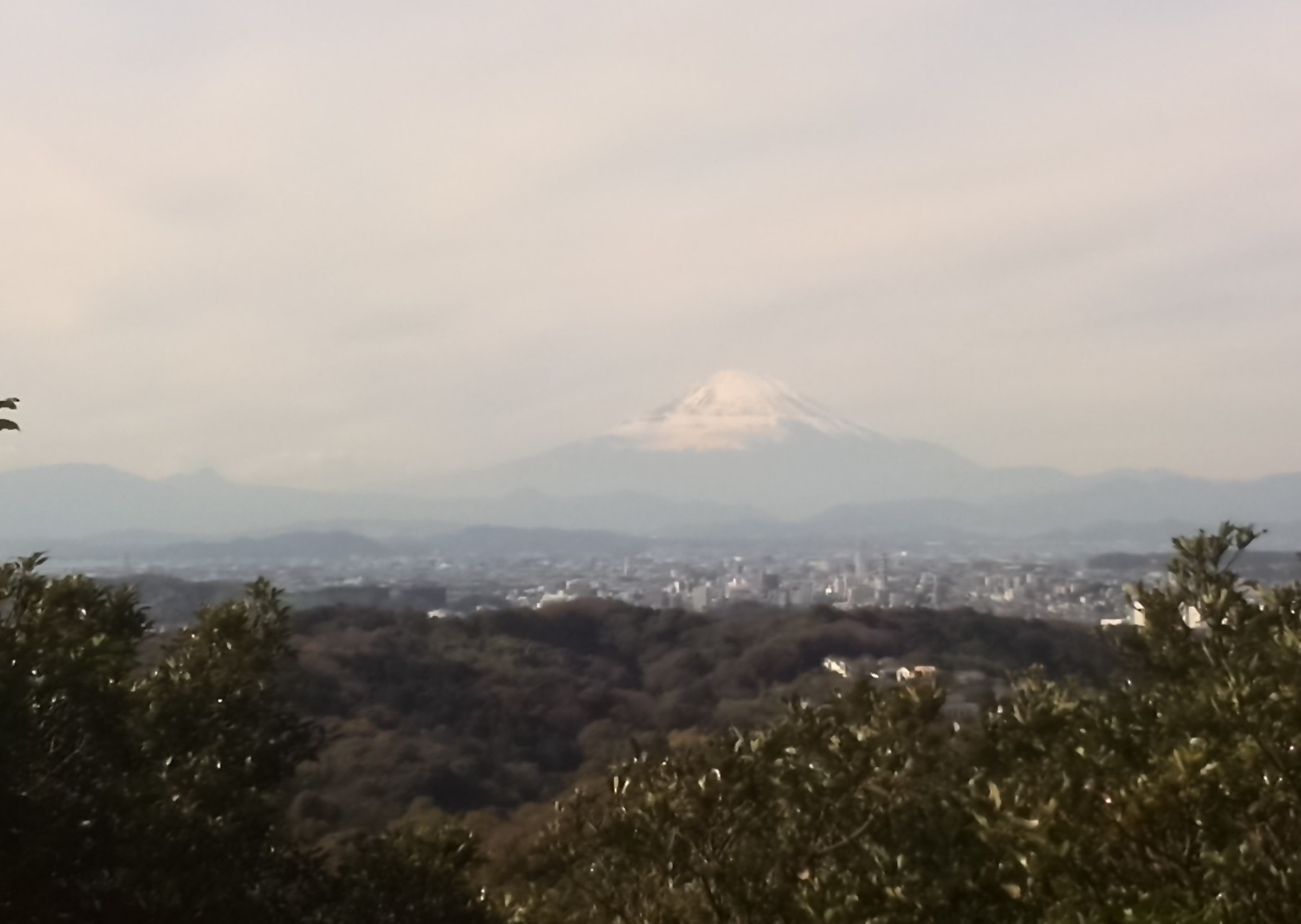 富士山と鎌倉市街