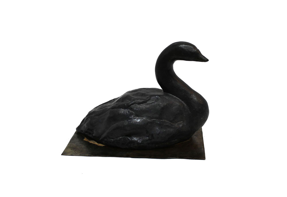 BLACK SWAN