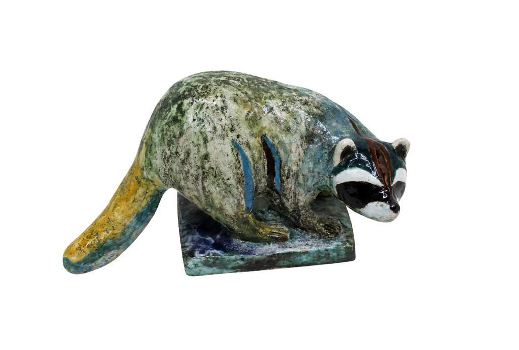  A RACOON