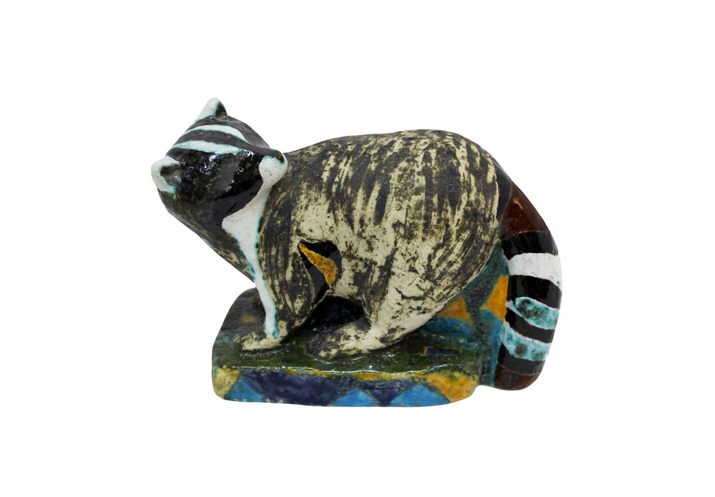 A RACOON