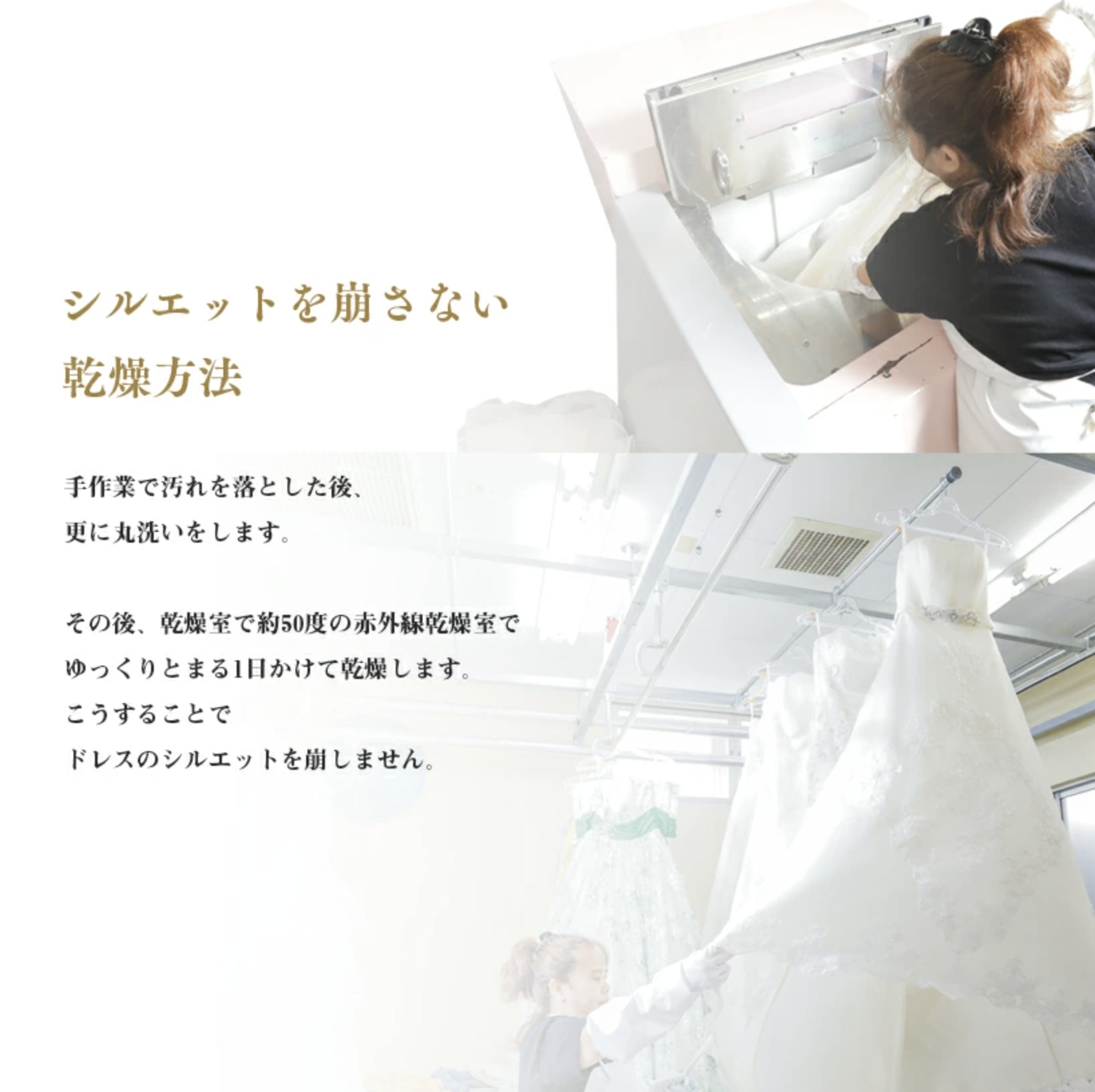 ウェディングドレスクリーニング+無酸素ふんわりパック - 株式 ウェディングドレスクリーニング+無酸素ふんわりパック - 株式