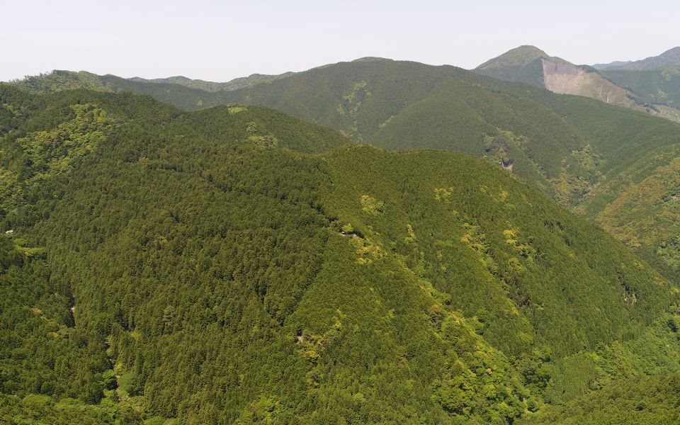 和歌山研究林 遠景