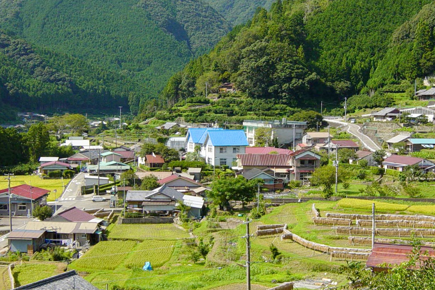 平井集落にある研究林庁舎