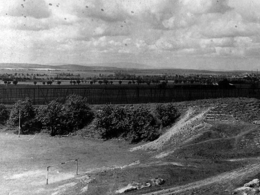 Zum "Kirschenklauen" ging es in die Sandkuhle - am Sportplatzhang standen herrliche Süßkirschen.
