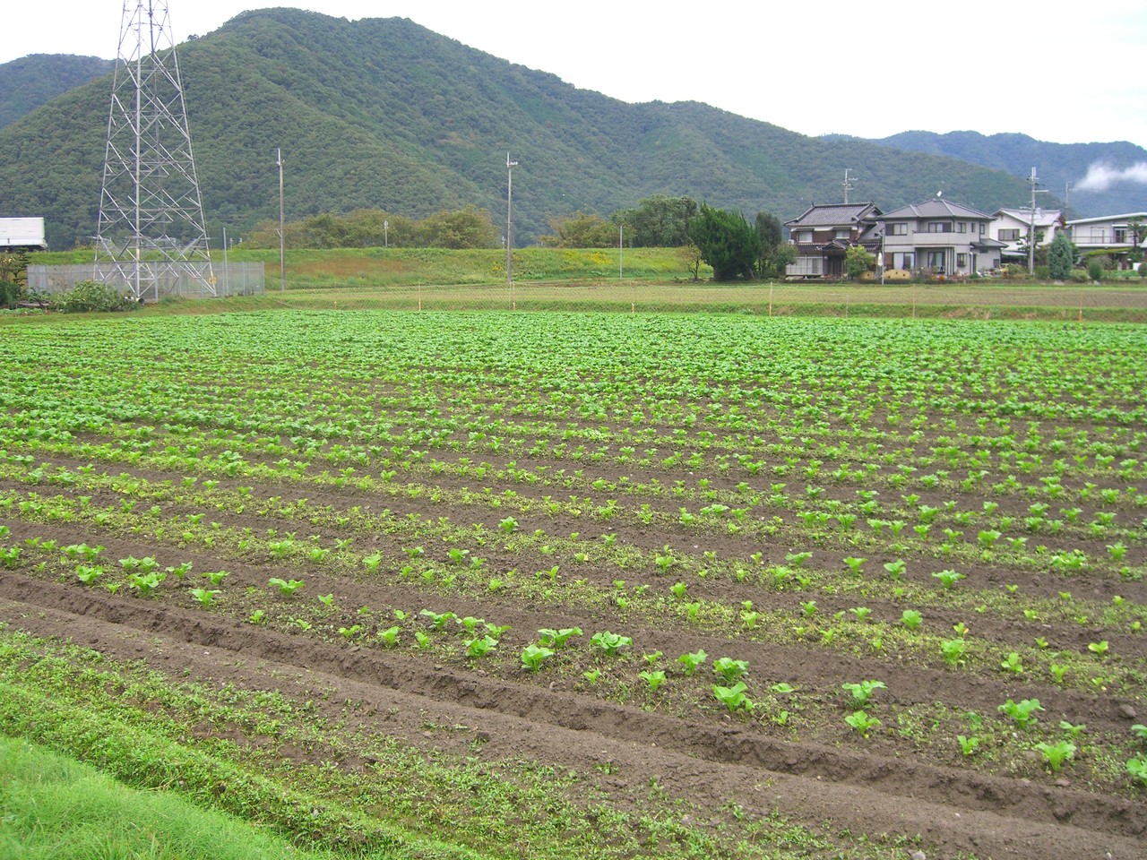 10月25日②