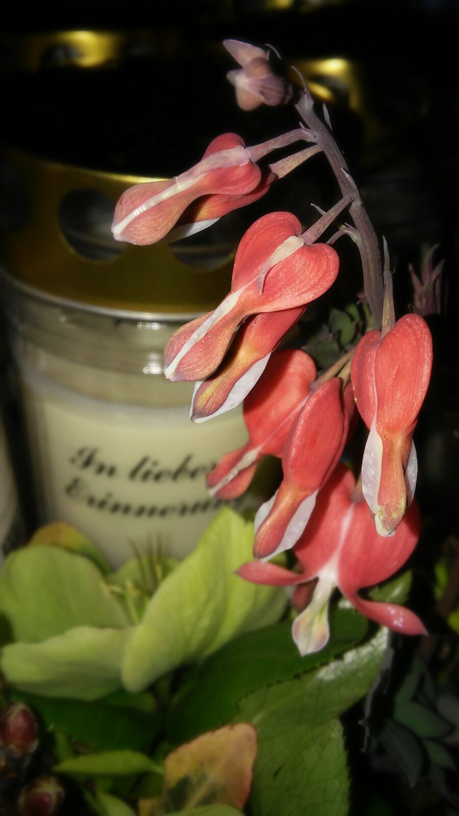 Mein Korper Wird Hier Bleiben Wie Eine Alte Verlassene Hulle Man Muss Nicht Traurig Sein Wegen Solch Alter Hullen Blutenreich Murecks Webseite