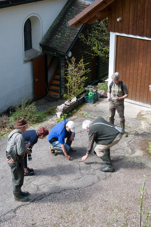 Schlangen-Exkursion bei Vöhrenbach