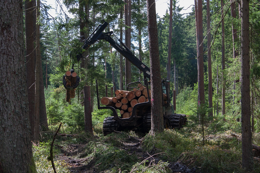 Abtransport des Holzes mit 8-Rad-Rückezug mit Moorbändern