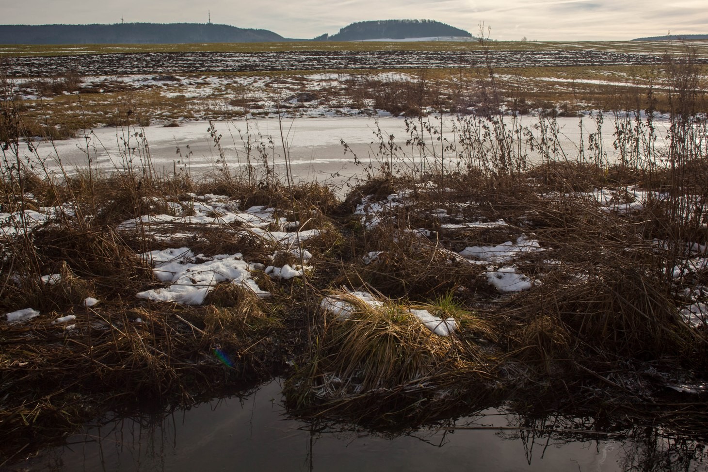 Biberpfad vom bestehenden Teich in den neuen Staubereich