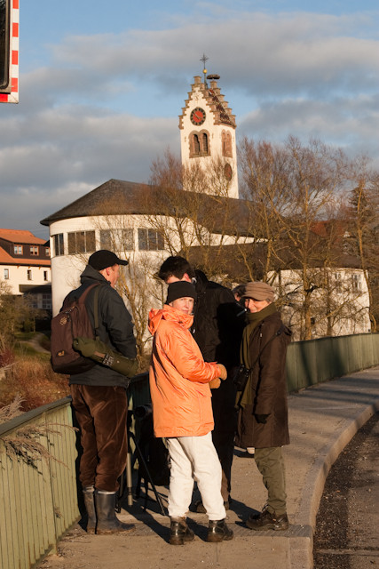 Donaubrücke Pfohren, hier gibts immer was zu sehen