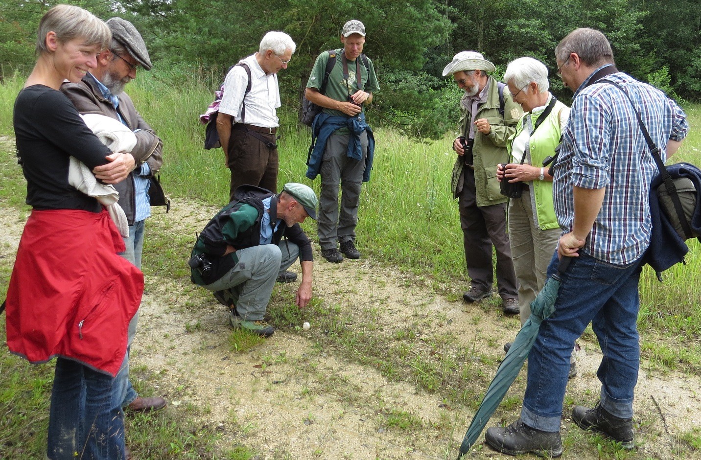 Schmetterlings-Exkursion am 27. Juli 2014, Foto: Ebenhöh