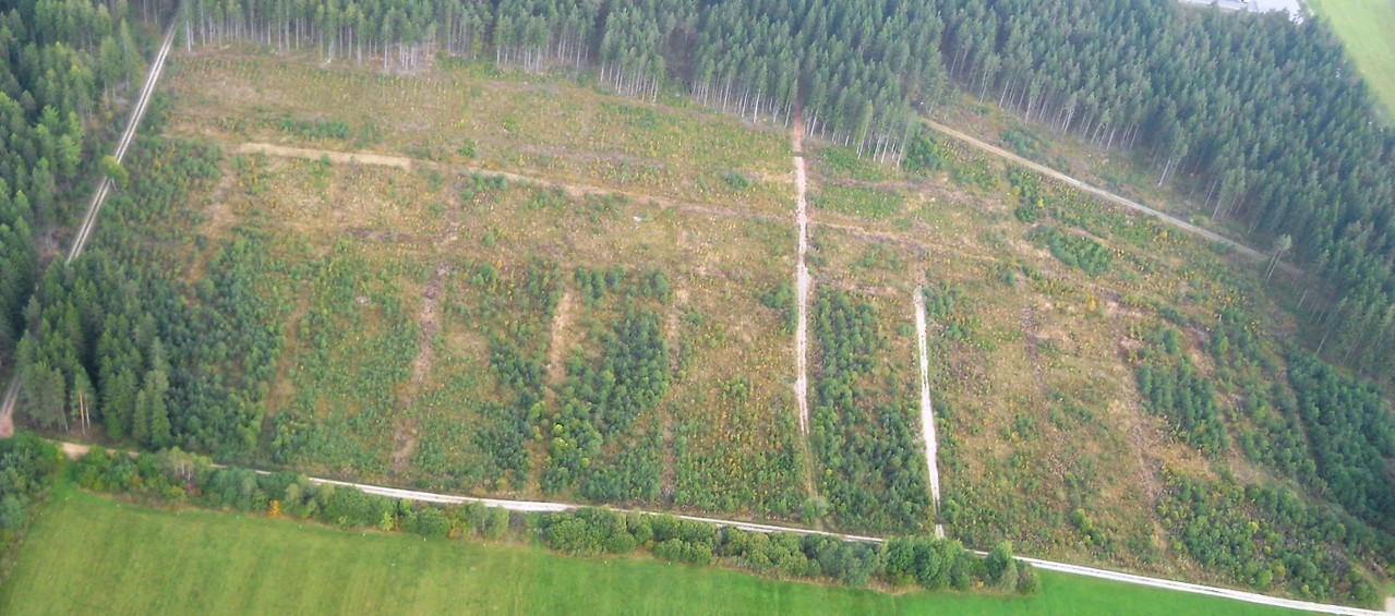 Eichenfläche (Baumpieper-Lebensraum) Luftbild, Fotograf: Jörg Maier (C)