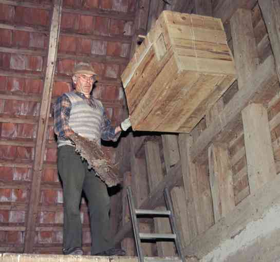 Manfred Riesle (Foto: H. Gehring)