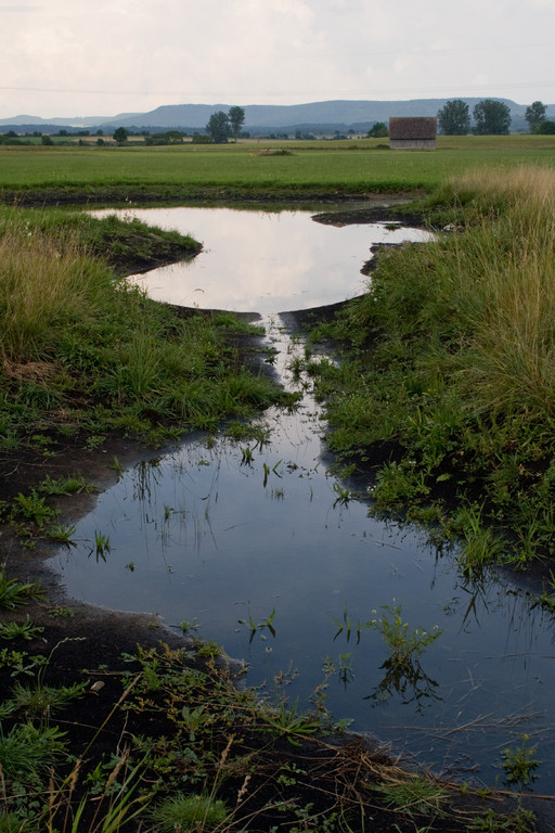 unser neuer NABU-Teich nach dem Stauwehr-Bau