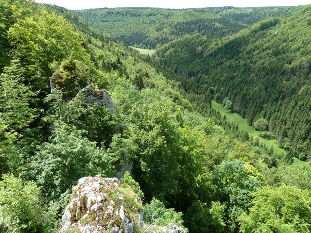 Blick vom NSG Kraftstein hinab ins Ursental