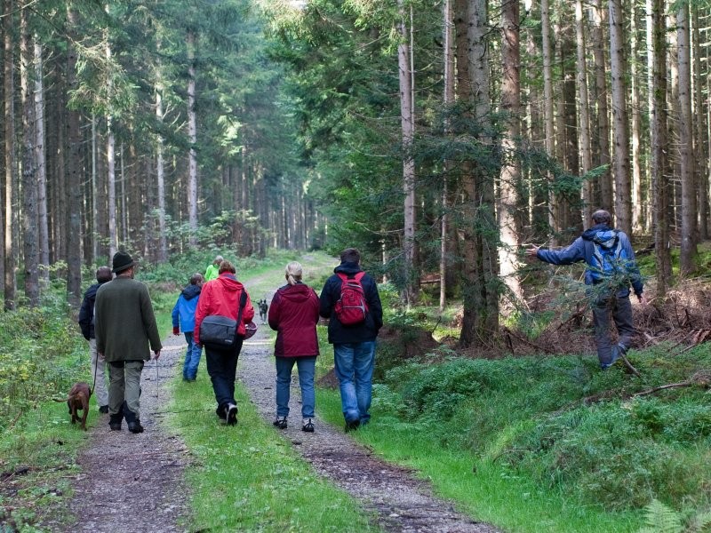 Los geht´s beim Forsthaus Volkertsweiler