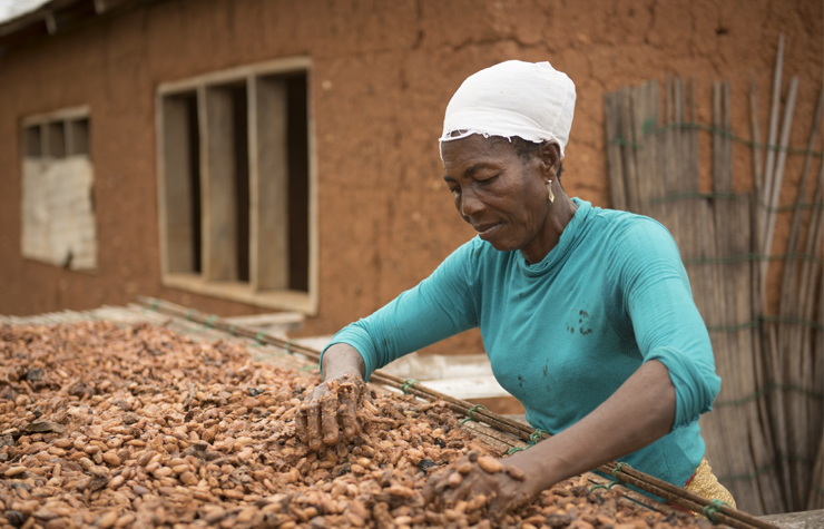 Cacao uit Ghana