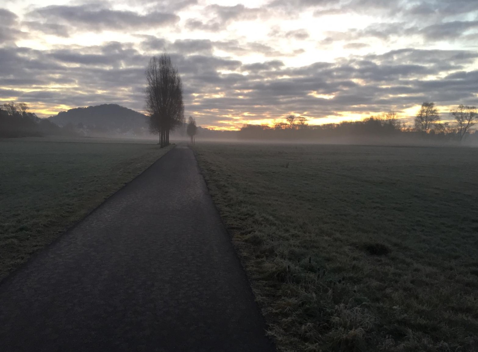 my way-der perfekte Radweg