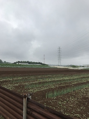 ここは、「大規模農地改良事業」として行ったところだそうです。草のにおいがどこか懐かしいです。