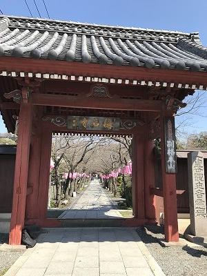 称名寺の入口 北条実時により創建されたそうです。