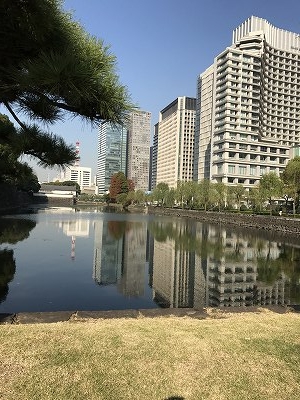 皇居外苑から眺める ビル群・・・・そんなに高いビルはありません。