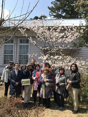 一本だけ桜が咲いてました!!嬉しい~!(^^)!