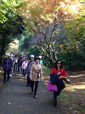 ここが、鶴ヶ峰かと驚くほどの散策路、帷子川親水緑道がありました!