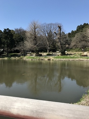 平泉の「毛越寺」に全体の雰囲気が似ています。