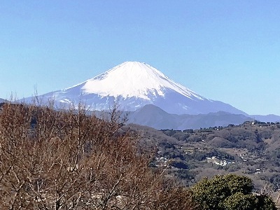 富士山も見えました!!