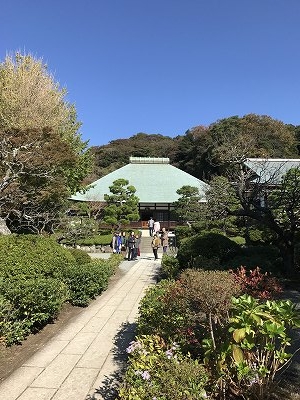 浄明寺に来ました(^^♪ 庭園は、とても綺麗に手入れが行き届いてました。